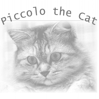 Piccolo the Cat